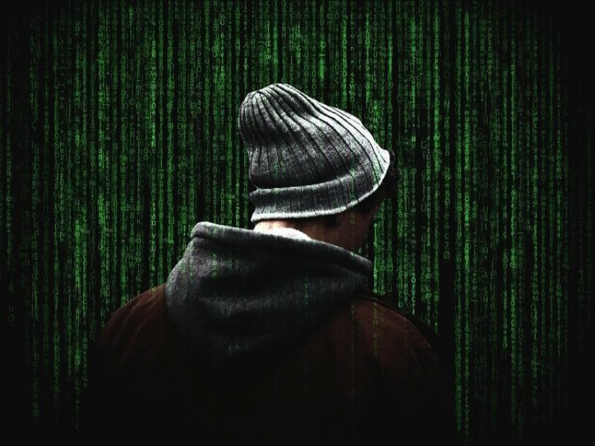 Грибановского хакера осудили за интерес к странным сайтам
