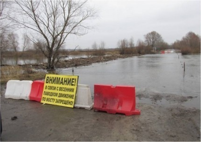 Шесть мостов ушли под воду в Воронежской области