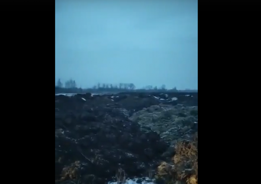 Красивое место в Воронежской области завалили бычьим навозом