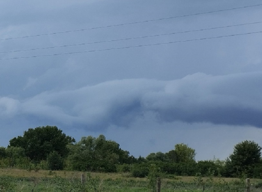 Последняя рабочая неделя июня будет прохладной и дождливой в Борисоглебске