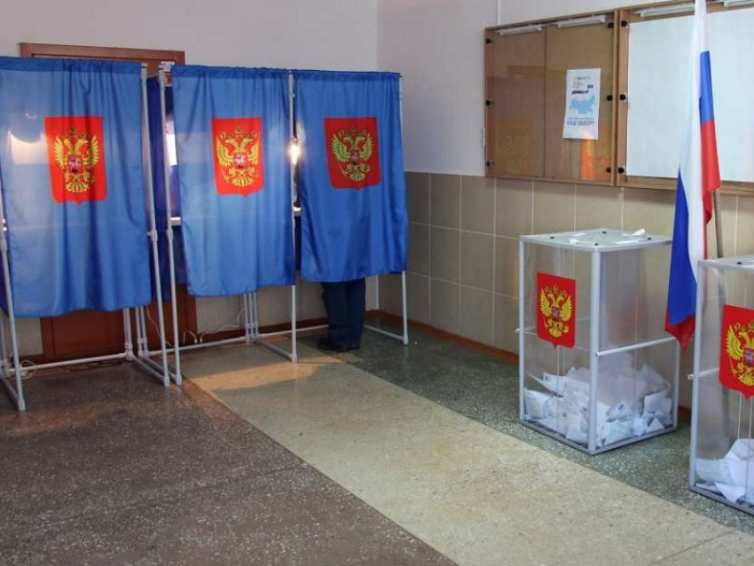 В Воронежской области следить за голосованием по поправкам в Конституцию будет рекордное количество общественников