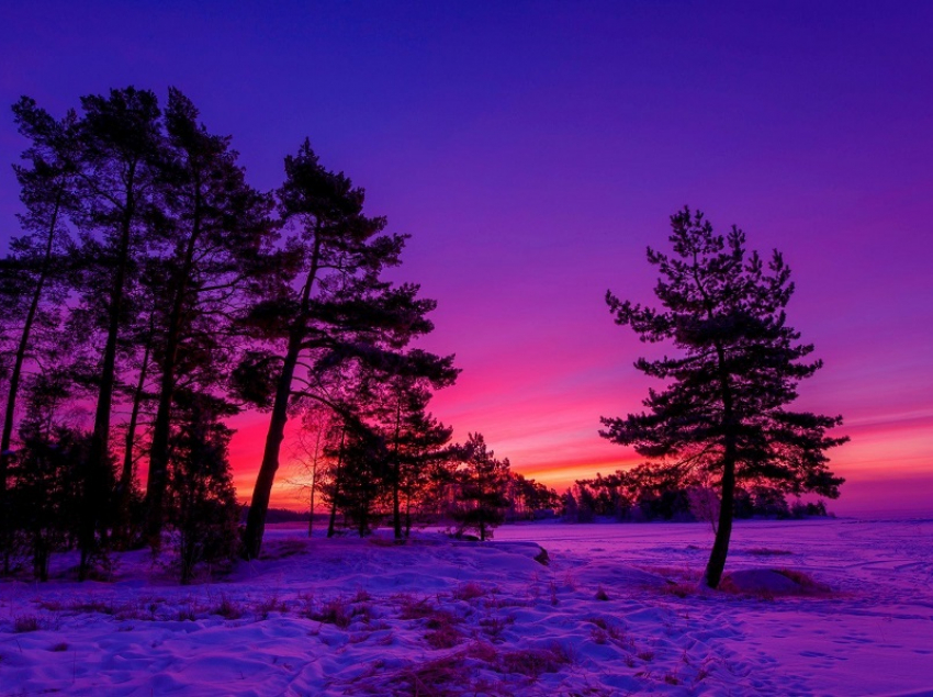 Самый короткий день года наступил сегодня