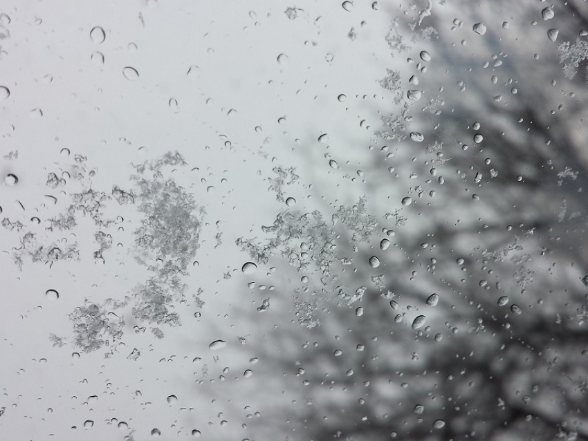 «То дождь, то снег, то снег, то дождь…»: переход октября в ноябрь пройдет в Борисоглебске по плану