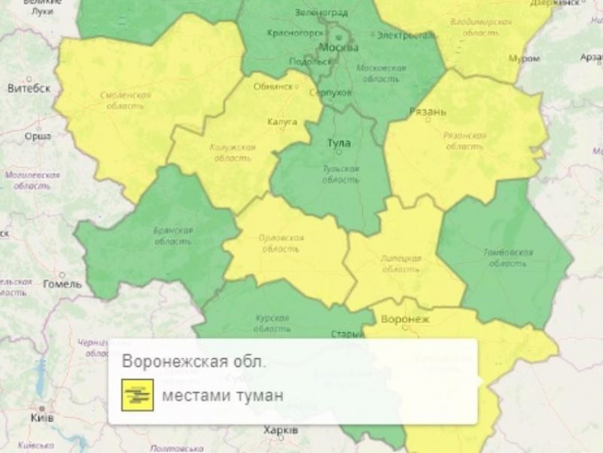 Желтый уровень опасности объявили в Воронежской области из-за погоды