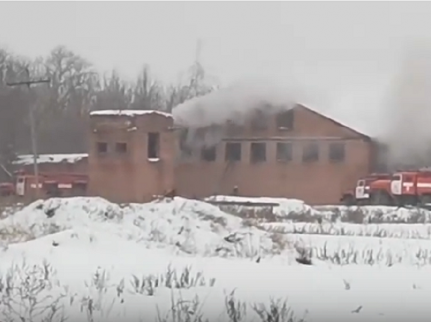Пожар в Борисоглебском районе «Черемушки» попал на видео