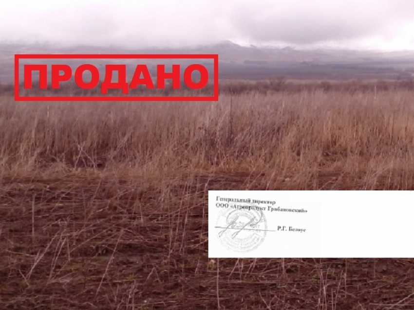 Грибановский район потерял животноводческий комплекс, 2100 га земли и 57 млн. рублей одним росчерком пера