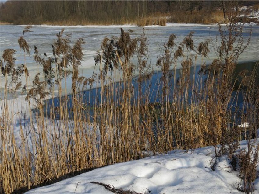 В Борисоглебском городском округе погиб мужчина