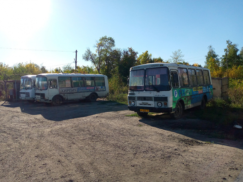 На плохую работу маршруток и хамство водителя пожаловалась жительница Борисоглебска