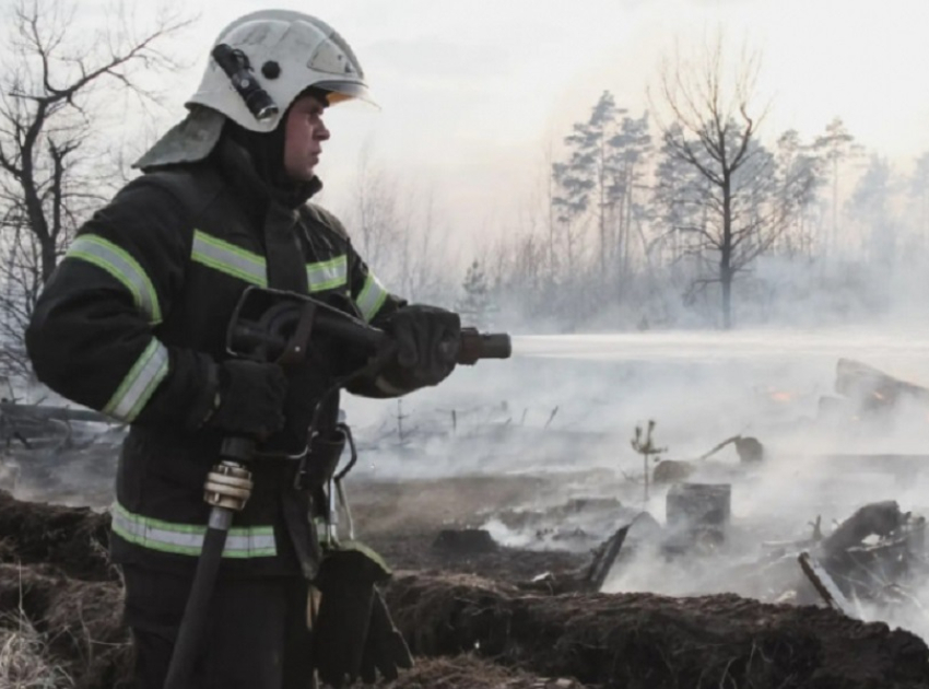 Более 3 тысяч пожаров с начала 2026 года потушили в Воронежской области 