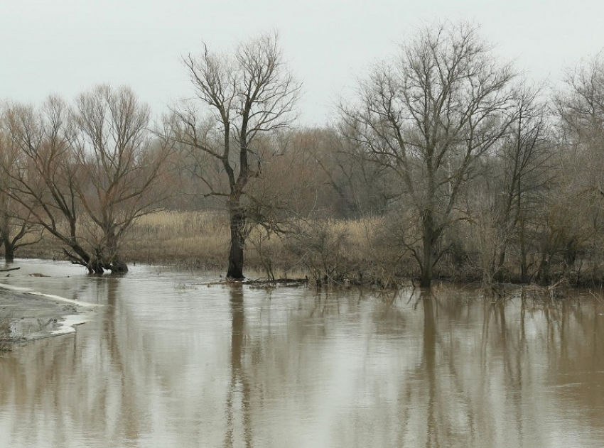 На четверть метра поднялся уровень воды в реке Хопер за сутки
