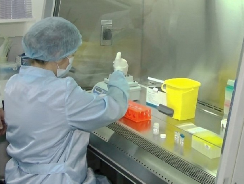 В Борисоглебске стали делать тесты на антитела к CОVID-19