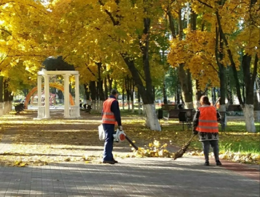 Борисоглебск присоединится к общеобластному субботнику
