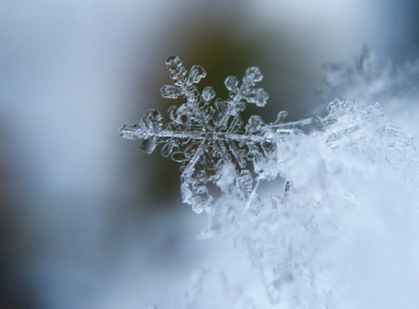Снегопады, мороз и сильный ветер накроют  Воронежскую область 