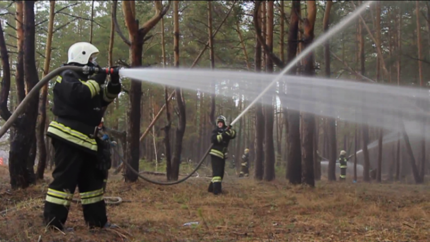 В Воронежской области готовятся к сезону лесных пожаров