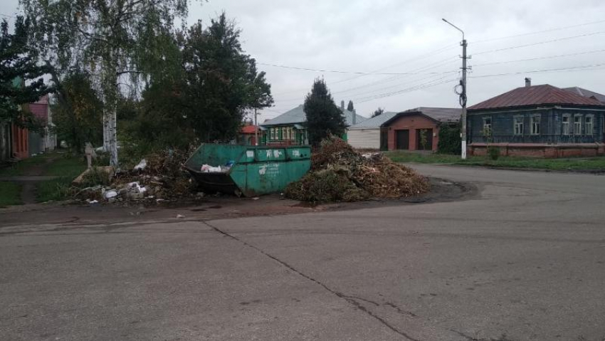 В заваленном мусором городе администрация Борисоглебска обеспокоилась мусором «визуальным» 