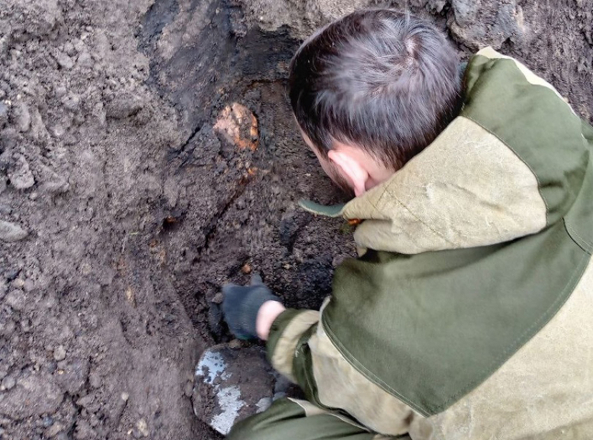 Останки бойцов Красной Армии обнаружили при строительстве дороги в Воронежской области 