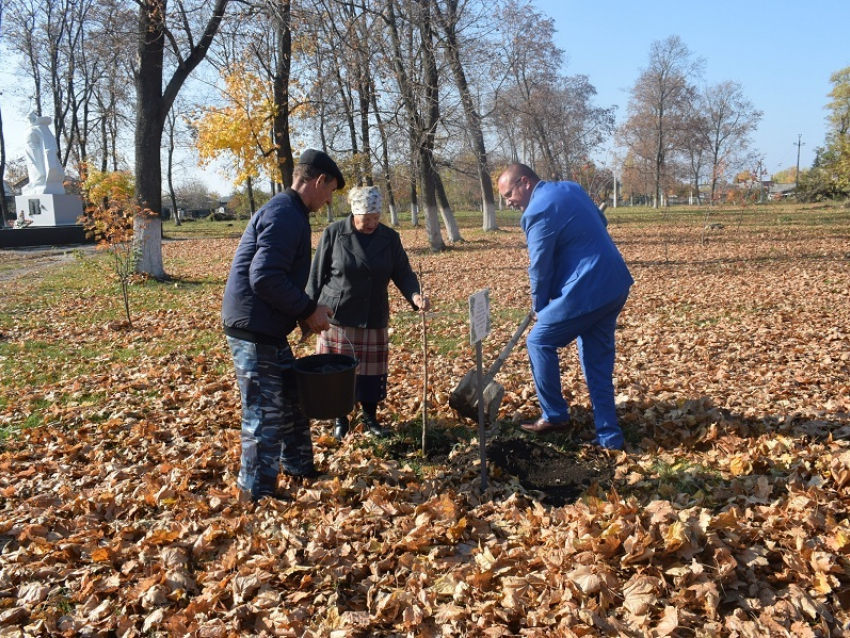 В Грибановке аллея в честь почетных граждан района стала больше