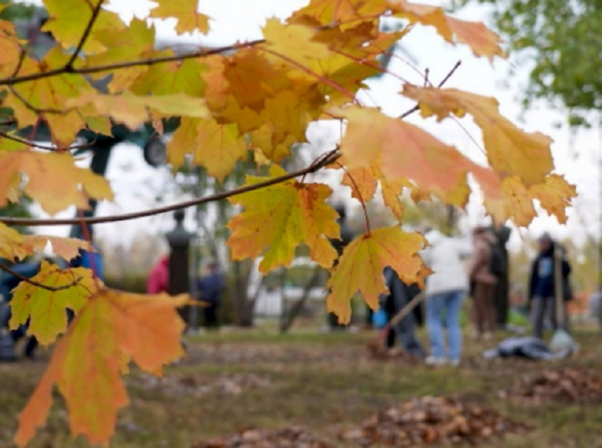 Более 100 тысяч человек вышли на региональный субботник в Воронежской области