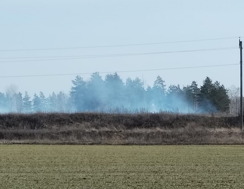 Окрестности села Третьяки Борисоглебского округа снова заволокло дымом