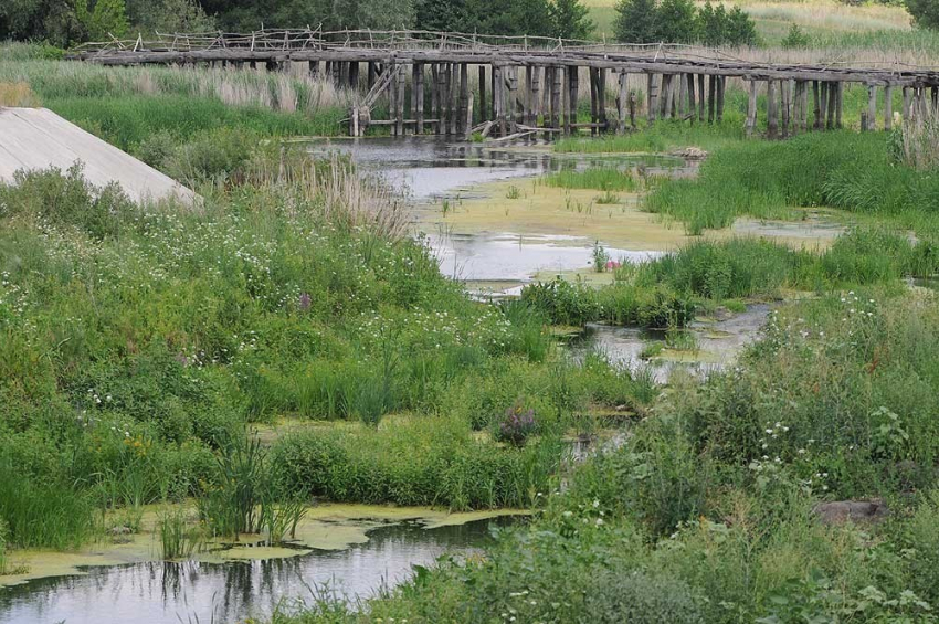 Пересохшую речку в селе Чигорак Борисоглебского района будут спасать за средства федерального бюджета