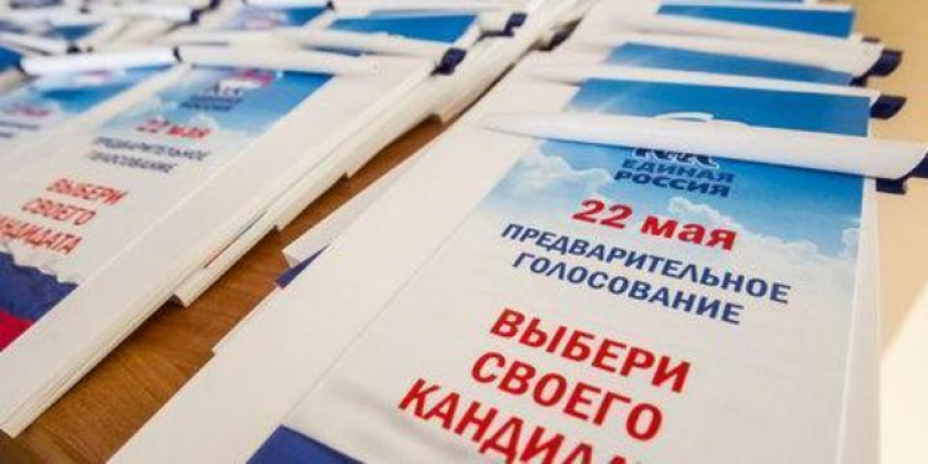 В праймериз 22 мая приняли участие 13% жителей Воронежской области