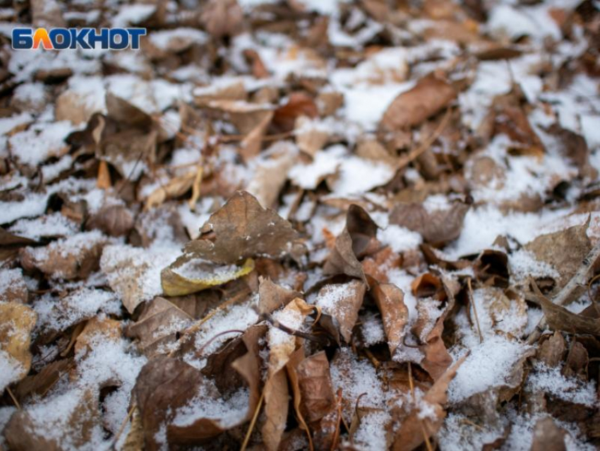Мокрый снег и минусовую температуру принесет гребень антициклона в Борисоглебск