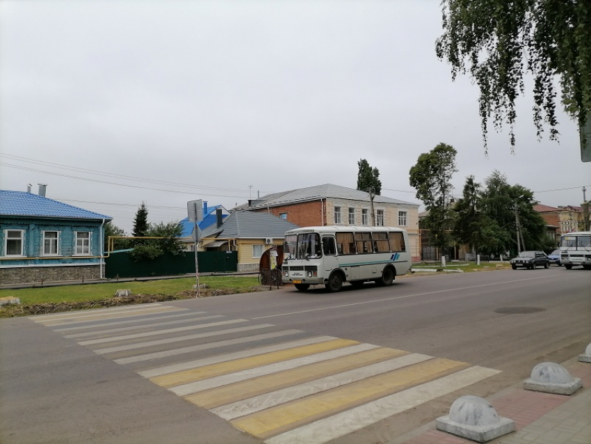 Борисоглебская администрация запуталась в «показаниях» по поводу спиленных в центре города деревьев