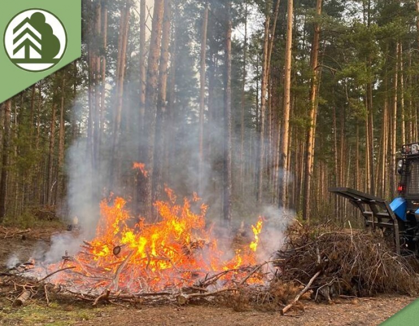 С 15 апреля в Воронежской области начнется особый пожароопасный период