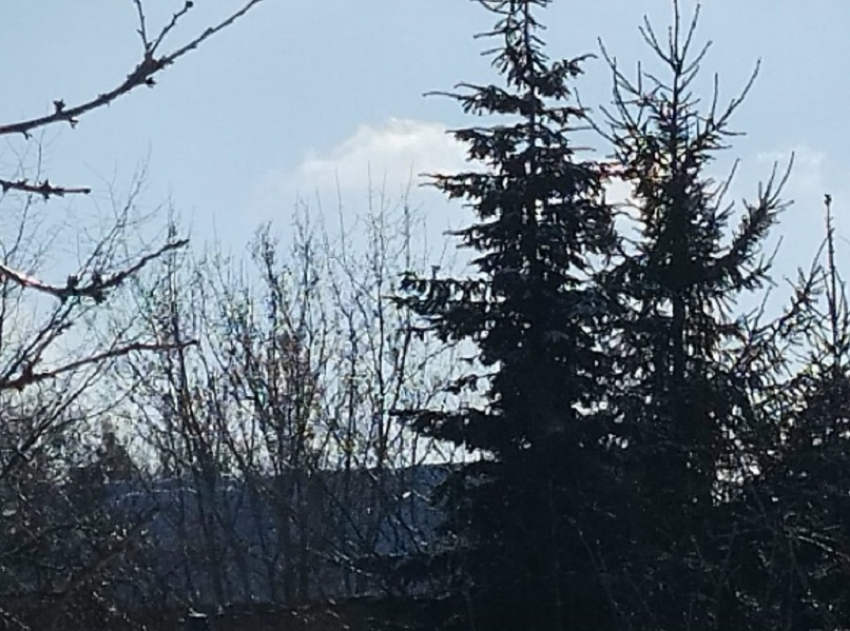 Комфортную погоду на праздничных выходных пообещали борисоглебцам синоптики