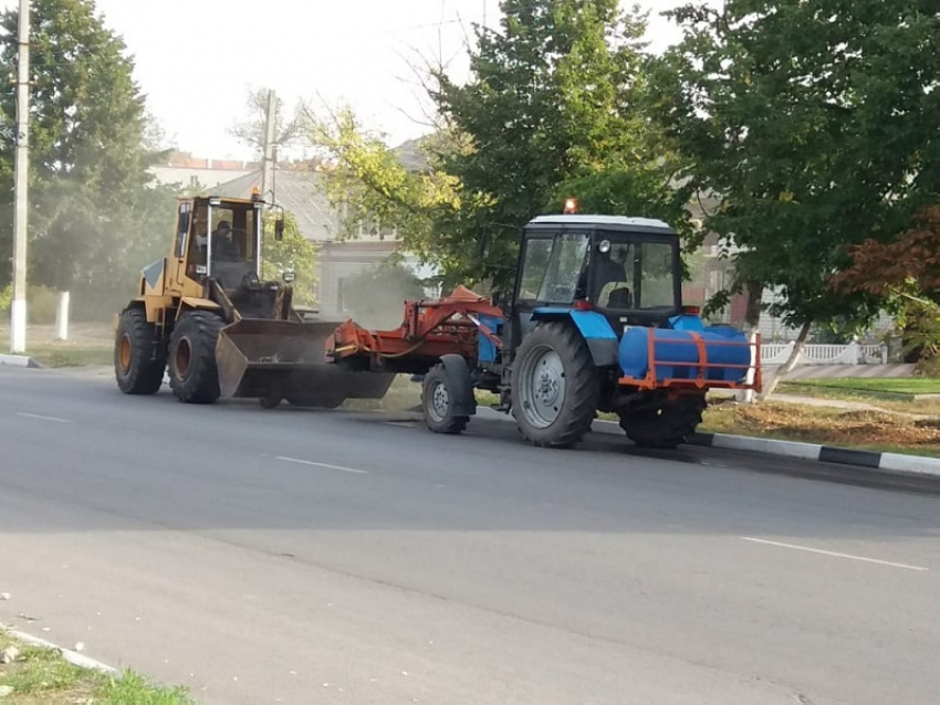 В Борисоглебске готовятся к осеннему месячнику благоустройства