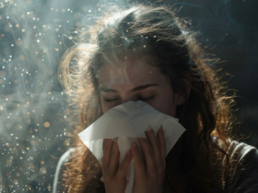 В Воронежской области зафиксировали высокую активность пыльцы берёзы и ольхи