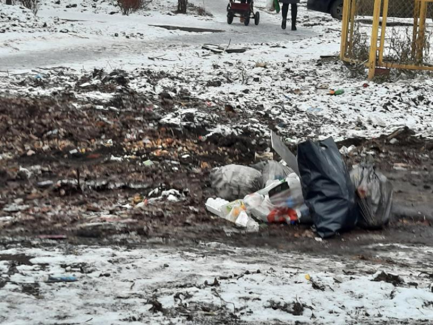  Жители двух микрорайонов Борисоглебска обратились к губернатору по поводу мусорных контейнеров
