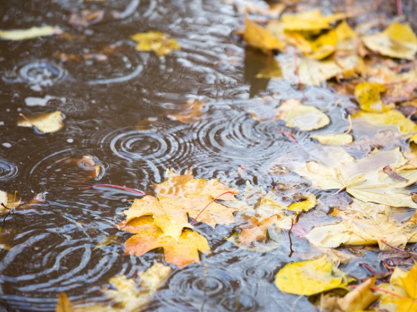 Рабочая неделя в Борисоглебске обещает быть дождливой
