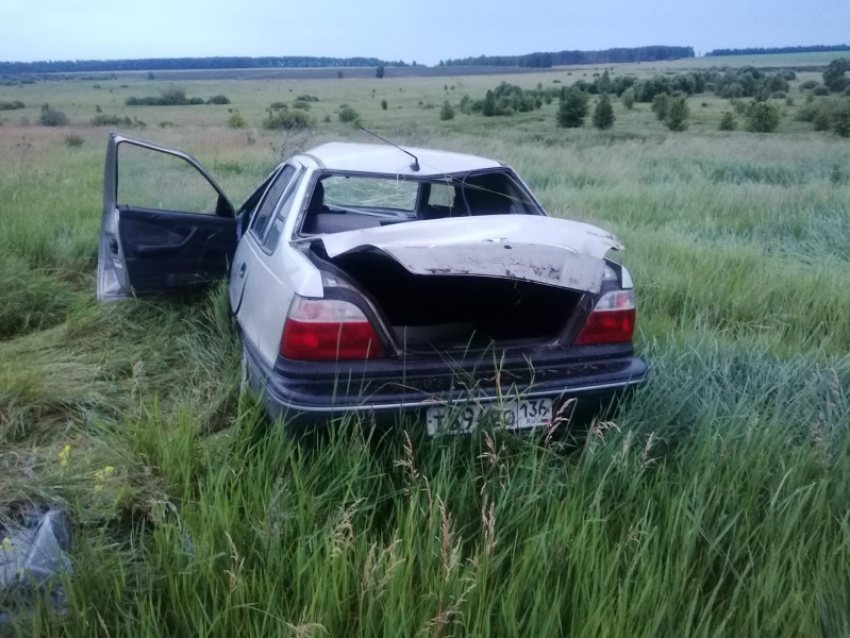  Водитель на «Нексии»  улетел с дороги в поля  Терновского района: в авто было трое детей 