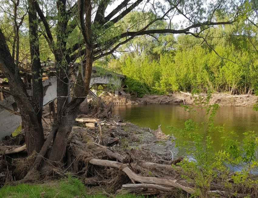 «Блокнот» получил ответ по поводу состояния реки Вороны из областного департамента экологии 