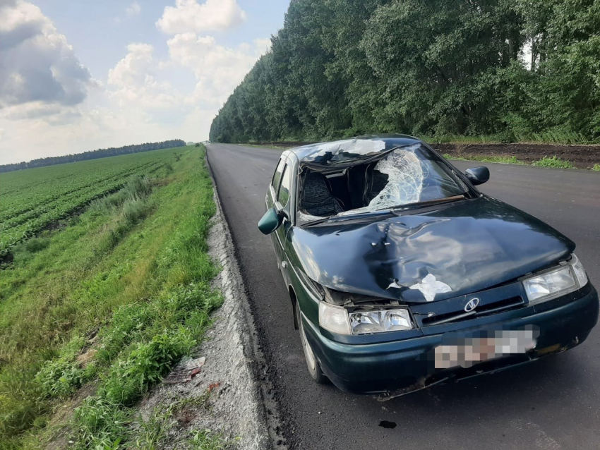 В Терновском районе насмерть сбили пешехода