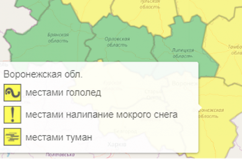 Из-за тумана и гололеда в Воронежской области объявили желтый уровень опасности