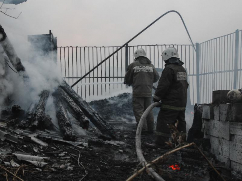 За первые 10 дней марта спасатели сохранили жизнь 12 людям в Воронежской области