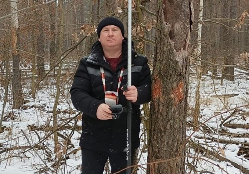  В хвойных насаждениях  Воронежской области  начались обследования по выявлению умирающих лесных  участков 