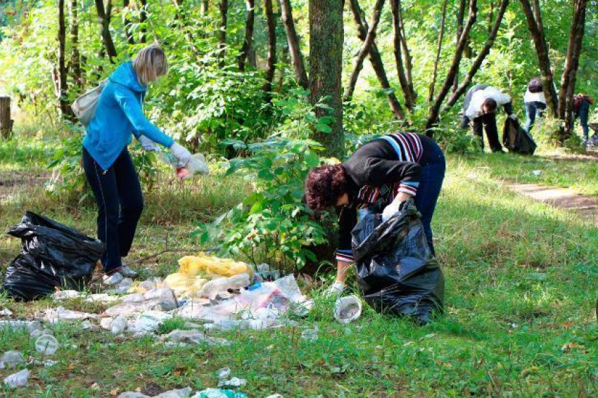 В Год экологии в Борисоглебске пройдут масштабные экологические акции