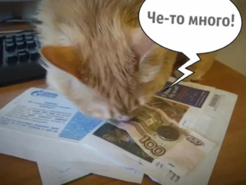 На сколько в Воронежской области вырастут платежи за ЖКУ в следующем году