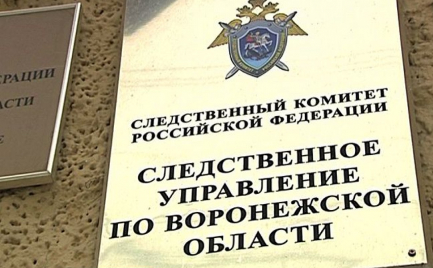Родителей  Воронежской области предупредили об опасности 