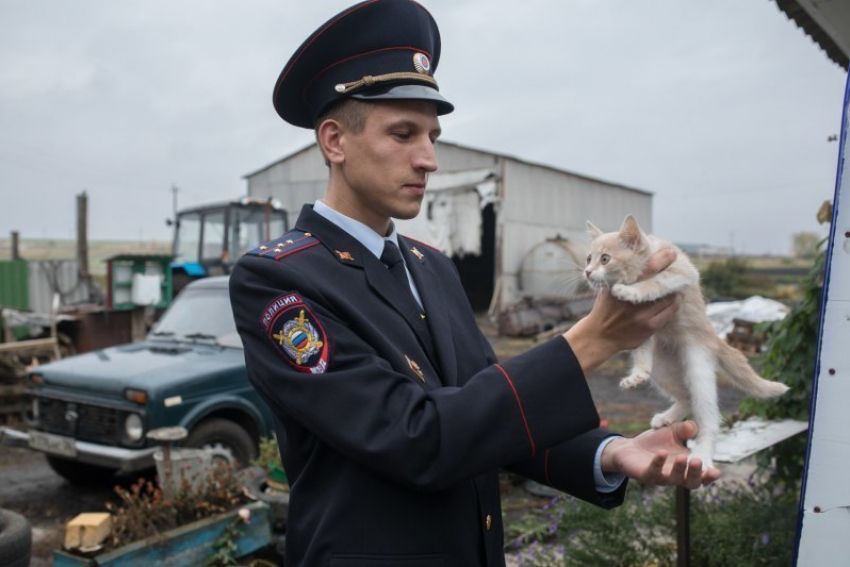  В Каширского районе пьяный депутат напал на «Народного участкового» Воронежской области