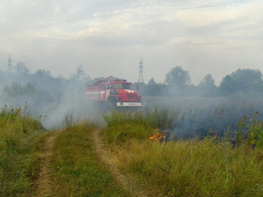 На юго-западной окраине Борисоглебска горит луг.