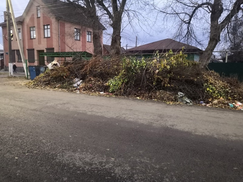 Месяц рождения мусорных куч вот-вот начнется в Борисоглебске