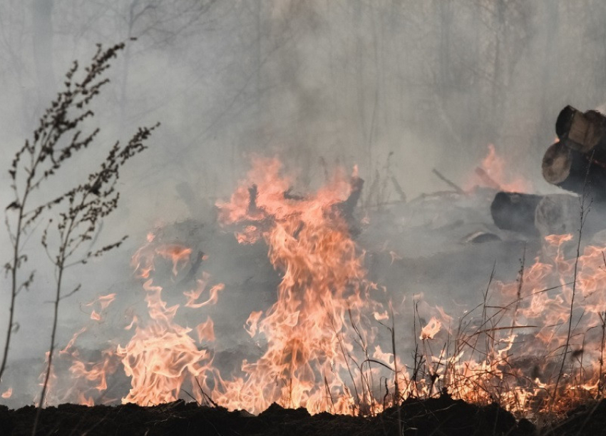 Погодную аномалию назвали причиной страшных пожаров в Воронежской области