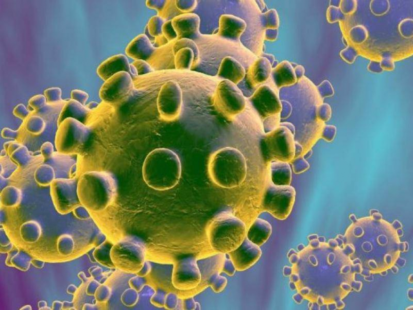 Больше 100 человек умерли от коронавируса в Воронежской области