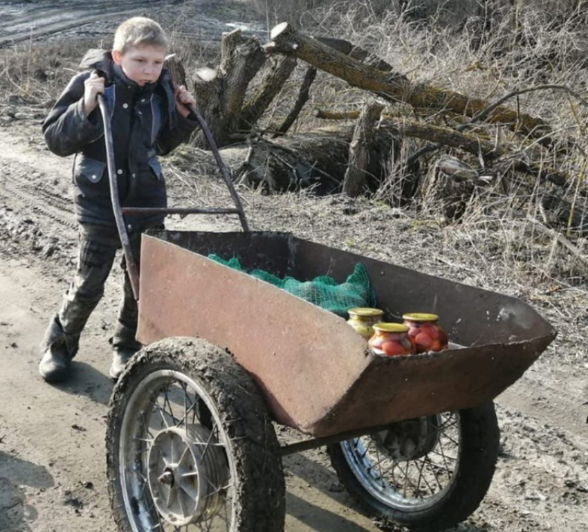  Эту страну не победить: в Воронежской области мальчик из многодетной семьи  привез на тележке  гуманитарную помощь