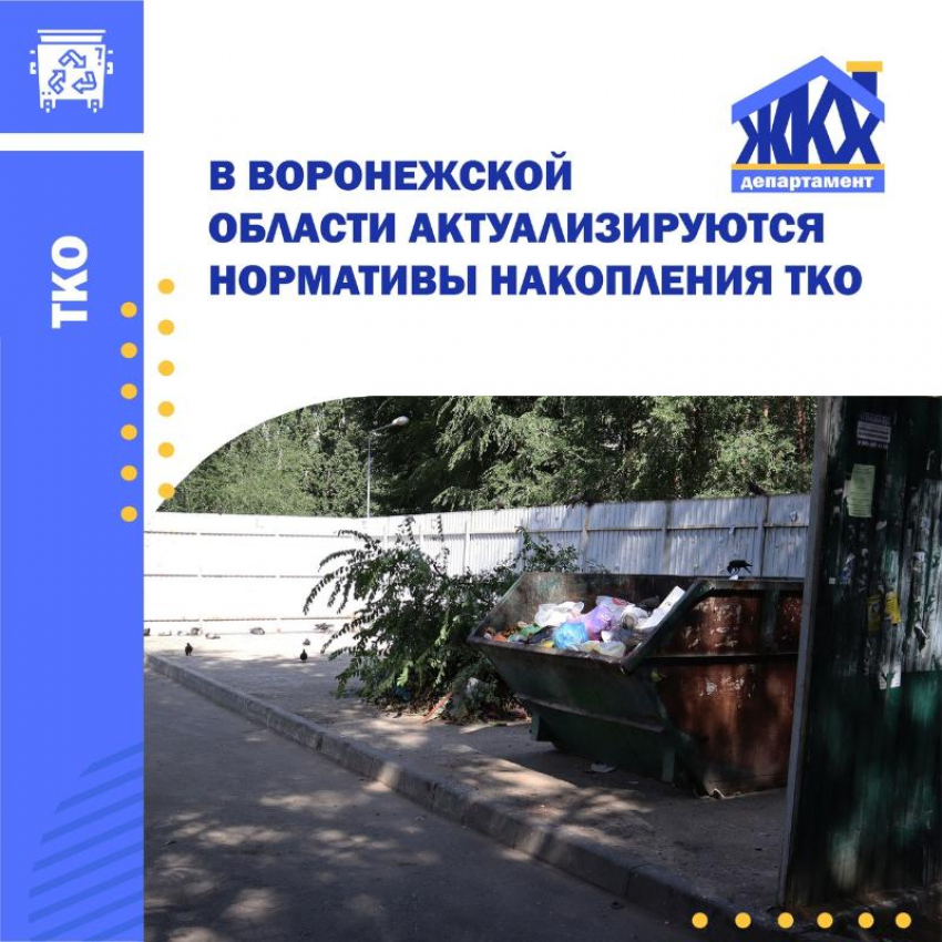 Платить за вывоз мусор жителям Воронежской области, видимо, придется больше