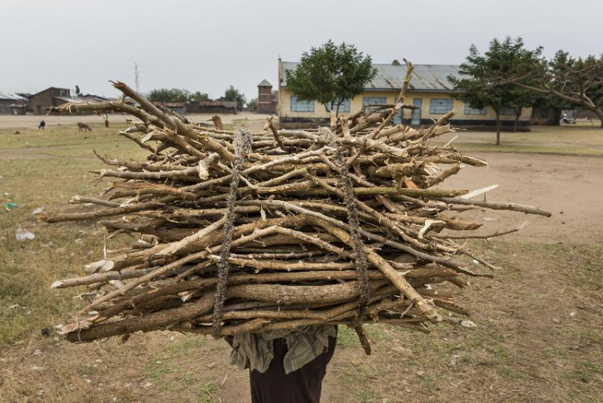  Ветки –в вязанки, листву – в мешки: как проходит месячник  благоустройства в Поворино